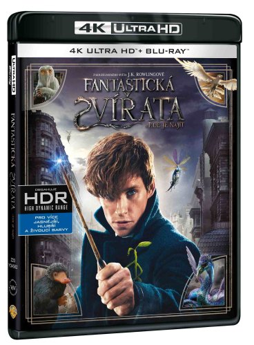 Fantastická zvířata a kde je najít - 4K Ultra HD Blu-ray + Blu-ray (2BD)