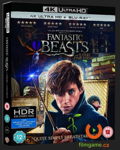 detail Fantastická zvířata a kde je najít - 4K Ultra HD Blu-ray + Blu-ray (2BD)