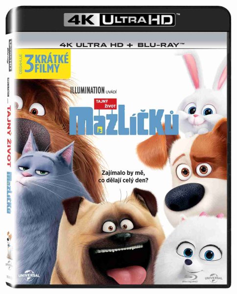 detail Tajný život mazlíčků - 4K Ultra HD Blu-ray + Blu-ray (2BD)