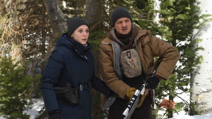 detail Wind River - Blu-ray