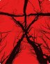 náhled Blair Witch: 20 let poté - Blu-ray Steelbook (Bez CZ podpory)