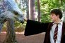 náhled Harry Potter 1 - 7 kolekce (8 filmů) - 4K Ultra HD