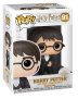 náhled Funko POP! Harry Potter - Harry Potter